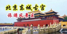 外国AAA级直播内射中国北京-东城古宫旅游风景区